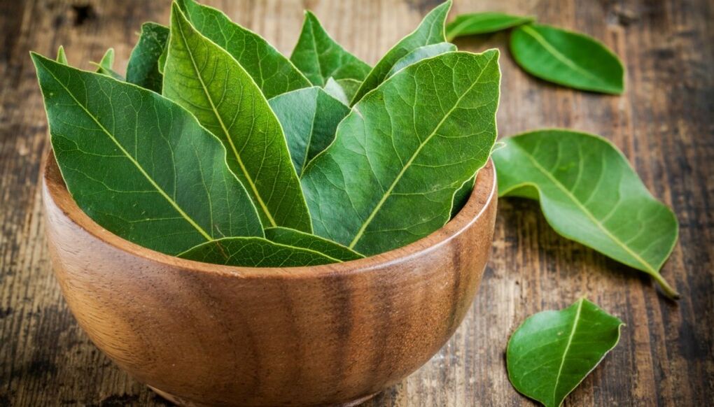 A bath based on a decoction of bay leaves increases a man's potency